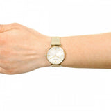 Buy Shop Emporio Armani Retro Gold Dial Gold Mesh Bracelet Watch For Women - AR1957 USA Online