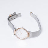 Buy Shop Emporio Armani Retro Mother of Pearl Dial Silver Mesh Bracelet Watch For Women - AR2067 USA Online