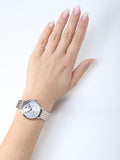 Buy Shop Emporio Armani Silver Sunray Dial Two Tone Steel Strap Watch For Women - AR11113 USA Online