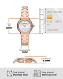 Buy Shop Emporio Armani Three Hand Quartz Mother of Pearl Dial Two Tone Steel Strap Watch For Women - AR11569 USA Online