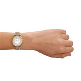 Buy Shop Emporio Armani Gianni T Bar Crystals Silver Dial Brown Leather Strap Watch For Women - AR11518 USA Online