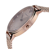 Buy Shop Emporio Armani Kappa Pink Dial Pink Mesh Bracelet Watch For Women - AR11129 USA Online