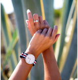 Buy Shop Daniel Wellington Classic Canterbury White Dial Two Tone NATO Strap Watch For Women - DW00100030 USA Online