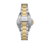 Buy Shop Fossil Blue Dive Three Hand Black Dial Two Tone Steel Strap Watch For Women - ES5349 USA Online