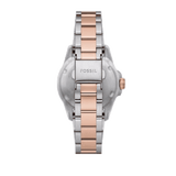 Buy Shop Fossil Blue Dive Three Hand Gray Dial Two Tone Steel Strap Watch For Women - ES5348 USA Online