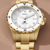 Buy Shop Fossil Blue Dive Three Hand White Dial Gold Steel Strap Watch For Women - ES5350 USA Online