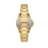 Buy Shop Fossil Blue Dive Three Hand White Dial Gold Steel Strap Watch For Women - ES5350 USA Online