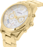 Buy Shop Fossil Boyfriend Gold Dial Gold Steel Strap Watch for Women - ES3884 USA Online