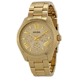 Buy Shop Fossil Cecile Multifunction Champagne Dial Gold Steel Strap Watch for Women - AM4510 USA Online