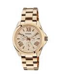 Buy Shop Fossil Cecile Rose Gold Dial Rose Gold Steel Strap Watch for Women - AM4511 USA Online