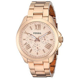 Buy Shop Fossil Cecile Rose Gold Dial Rose Gold Steel Strap Watch for Women - AM4511 USA Online