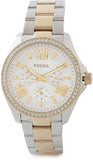 Buy Shop Fossil Cecile White Dial Two Tone Steel Strap Watch for Women - AM4543 USA Online