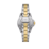 Buy Shop Fossil Blue Dive Three Hand Black Dial Two Tone Steel Strap Watch For Women - ES5349 USA Online
