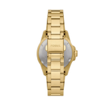 Buy Shop Fossil Blue Dive Three Hand White Dial Gold Steel Strap Watch For Women - ES5350 USA Online