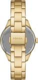 Buy Shop Fossil Rye Automatic Skeleton Gold Dial Gold Steel Strap Watch for Women - BQ3755 USA Online