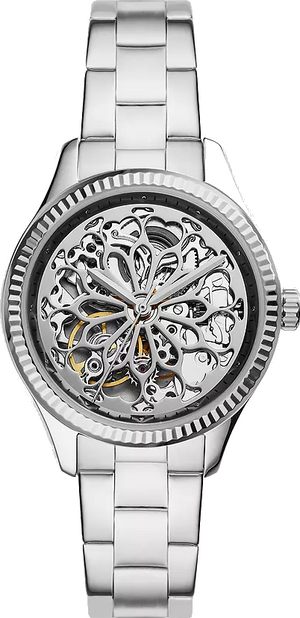 Buy Shop Fossil Rye Automatic Skeleton Silver Dial Silver Steel Strap Watch for Women - BQ3753 USA Online