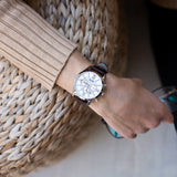 Buy Shop Hugo Boss Ambassador Chronograph Silver Dial Brown Leather Strap Watch For Men - HB1513195 USA Online
