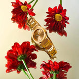 Buy Shop D1 Milano Ultra Thin Zephyr Gold Dial Gold Steel Strap Watch for Women - D1-UTBL31 USA Online