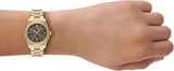 Buy Shop Emporio Armani Federica Brown Dial Gold Steel Strap Watch for Women - AR11700 USA Online