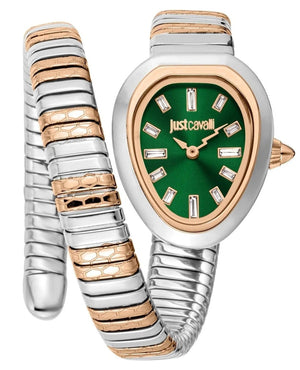 Buy Shop Just Cavalli Aversa Green Dial Two Tone Steel Strap Watch for Women - JC1L222M0075 USA Online
