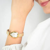 Buy Shop Just Cavalli Diversa Snake Mother of Pearl Dial Brown Leather Strap Watch for Women - JC1L321L0025 USA Online