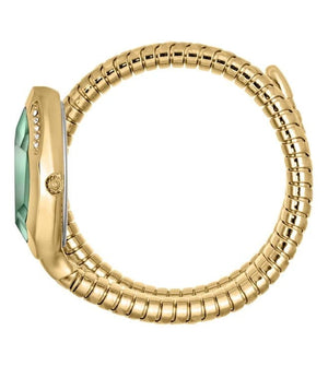 Buy Shop Just Cavalli Glam Evo 8 Green Dial Gold Steel Strap Watch for Women - JC1L225M0045 USA Online