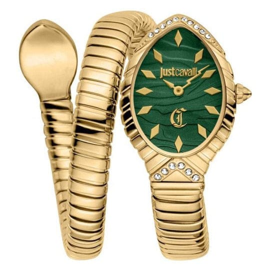 Buy Shop Just Cavalli Specchio Green Dial Gold Steel Strap Watch for Women - JC1L322M0035 USA Online