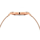 Buy Shop Daniel Wellington Petite Rose Gold Dial Rose Gold Mesh Bracelet Watch For Women - DW00100470 USA Online