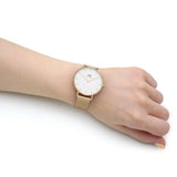 Buy Shop Daniel Wellington Classic Petite Evergold White Dial Gold Mesh Bracelet Watch For Women - DW00100346 USA Online