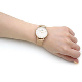Buy Shop Daniel Wellington Classic Petite White Dial Gold Mesh Bracelet Watch For Women - DW00100348 USA Online
