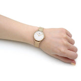 Buy Shop Daniel Wellington Classic Petite Evergold White Dial Gold Mesh Bracelet Watch For Women - DW00100350 USA Online