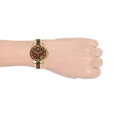 Buy Shop Michael Kors Everest Chronograph Brown Dial Two Tone Steel Strap Watch For Women - MK6973 USA Online