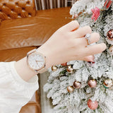 Buy Shop Michael Kors Layton Mother of Pearl White Dial Brown Leather Strap Watch For Women - MK2910 USA Online