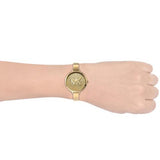Buy Shop Michael Kors Parker Crystals Gold Dial Gold Steel Strap Watch For Women - MK4469 USA Online