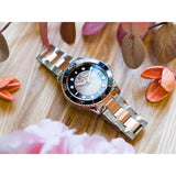 Buy Shop Michael Kors Runway Quartz Black Dial Two Tone Steel Strap Watch For Women - MK6960 USA Online