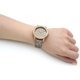 Buy Shop Michael Kors Runway Three Hand Quartz Gold Dial Brown Leather Strap Watch For Women - MK6999 USA Online