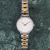 Buy Shop Michael Kors Pyper Quartz Silver Dial Two Tone Steel Strap Watch For Women - MK1041 USA Online
