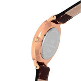 Buy Shop Daniel Wellington Classic Petite Bristol Black Dial Brown Leather Strap Watch For Women - DW00100165 USA Online