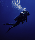 Buy Shop Omega Planet Ocean 6000M Co Axial Master Chronometer 45.5mm Blue Dial Black Rubber Strap Watch for Men - 21532462103001 USA Online