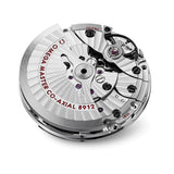 Buy Shop Omega Planet Ocean 6000M Co Axial Master Chronometer 45.5mm White Dial Black Rubber Strap Watch for Men - 21532462104001 USA Online