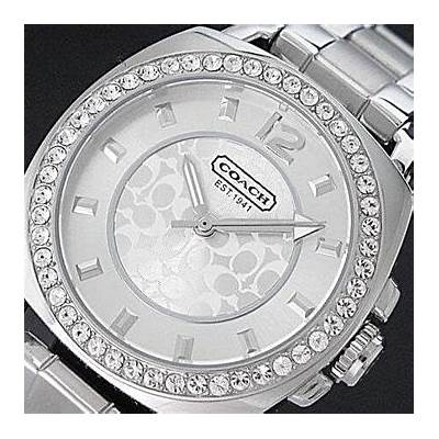 Buy Shop Coach Mini Boyfriend Diamonds Silver Dial Silver Steel Strap Watch for Women - 14501699 USA Online