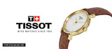 Buy Shop Tissot Everytime Desire Small White Dial Maroon Leather Strap Watch For Women - T109.210.36.031.00 USA Online