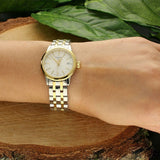 Buy Shop Tissot T Classic Dream Lady Silver Dial Two Tone Steel Strap Watch for Women - T129.210.22.031.00 USA Online