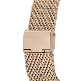 Buy Shop Tommy Hilfiger Brooklyn Grey Dial Gold Mesh Bracelet Watch for Men - 1791506 USA Online