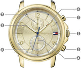 Buy Shop Tommy Hilfiger Claudia Rose Gold Dial Brown Leather Strap Watch for Women - 1781818 USA Online