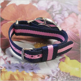 Buy Shop Daniel Wellington Classy Winchester White Dial Two Tone NATO Strap Watch For Women - DW00100081 USA Online